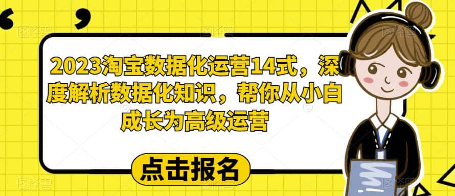 2023淘宝数据化-运营 14式，深度解析数据化知识，帮你从小白成长为高级运营-文言网创