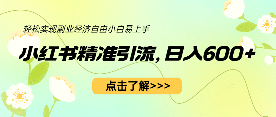 小红书精准引流，小白日入600 ，轻松实现副业经济自由（教程 1153G资源）-文言网创