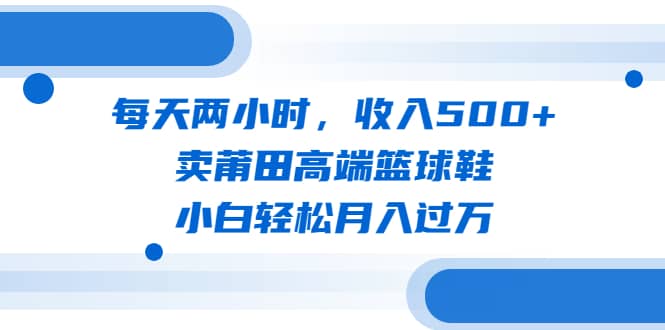 每天两小时，收入500 ，卖莆田高端篮球鞋，小白轻松月入过万（教程 素材）-文言网创