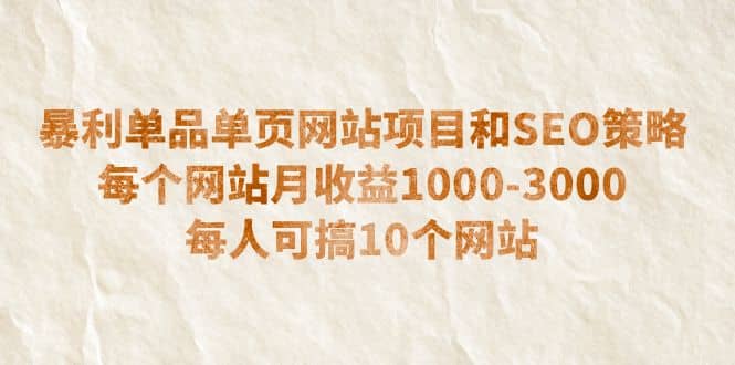 暴利单品单页网站项目和SEO策略 每个网站月收益1000-3000 每人可搞10个-文言网创