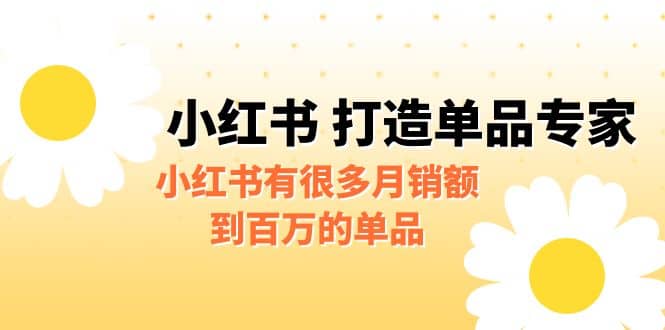 某公众号付费文章《小红书 打造单品专家》小红书有很多月销额到百万的单品-文言网创