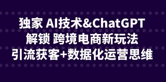 独家 AI技术ChatGPT解锁 跨境电商新玩法，引流获客 数据化运营思维-文言网创