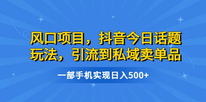 风口项目，抖音今日话题玩法，引流到私域卖单品，一部手机实现日入500-文言网创