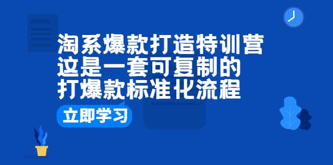 淘系爆款打造特训营：这是一套可复制的打爆款标准化流程-文言网创