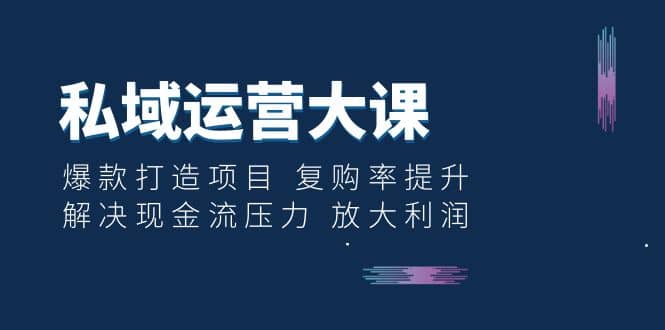 私域运营大课：爆款打造项目 复购率提升 解决现金流压力 放大利润-文言网创