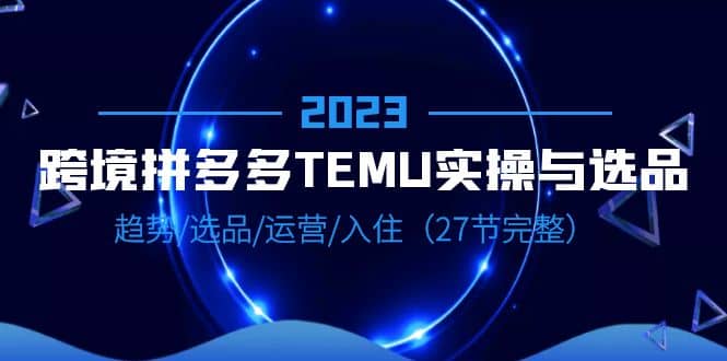 2023跨境·拼多多·TEMU实操与选品，趋势·选品·运营·入住（27节完整）-文言网创