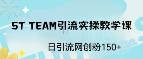 ST TEAM引流实操课，日引流网创粉100-文言网创