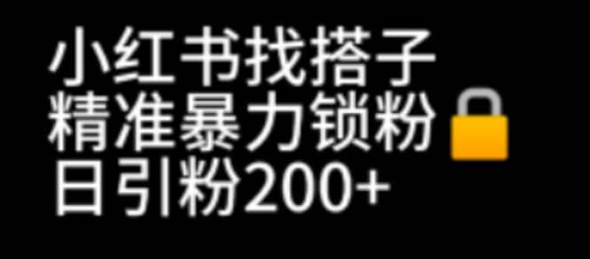 小红书找搭子暴力精准锁粉 引流日引200 精准粉-文言网创