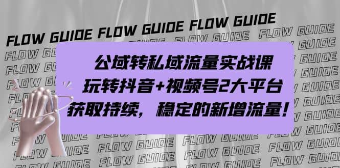 公域转私域流量实战课，玩转抖音 视频号2大平台，获取持续，稳定的新增流量-文言网创