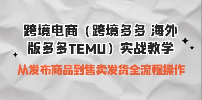 跨境电商（跨境多多 海外版多多TEMU）实操教学 从发布商品到售卖发货全流程-文言网创