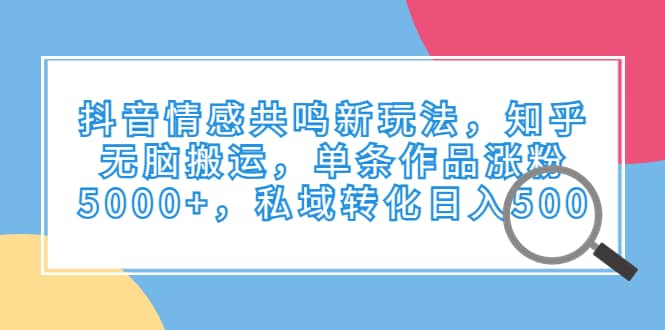 抖音情感共鸣新玩法，知乎无脑搬运，单条作品涨粉5000 ，私域转化日入500-文言网创