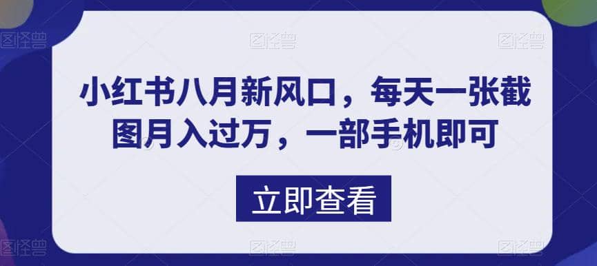 八月新风口，小红书虚拟项目一天收入1000 ，实战揭秘-文言网创