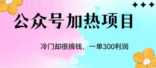 冷门公众号加热项目，一单利润300-文言网创