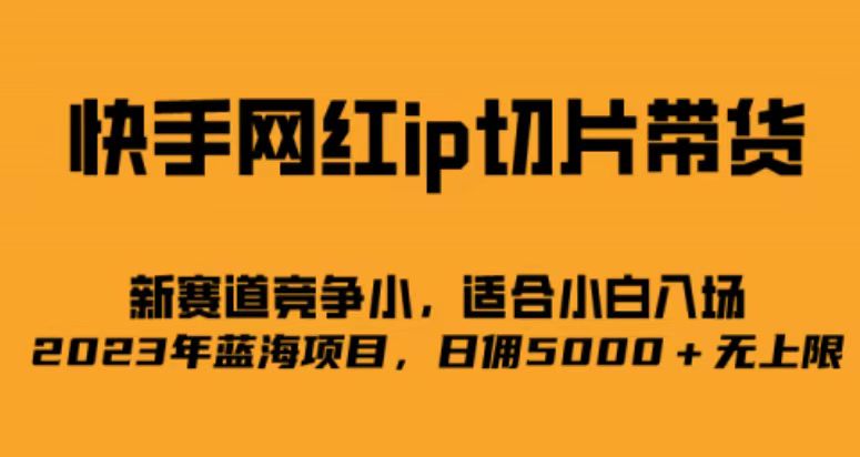 快手网红ip切片新赛道，竞争小事，适合小白 2023蓝海项目-文言网创