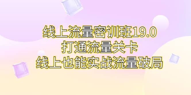 线上流量密训班19.0，打通流量关卡，线上也能实战流量破局-文言网创