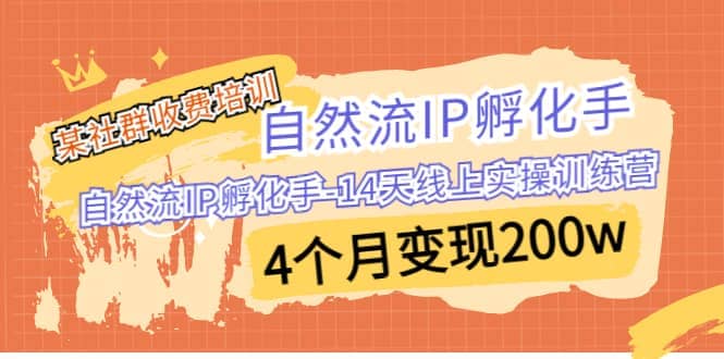 某社群收费培训：自然流IP 孵化手-14天线上实操训练营 4个月变现200w-文言网创