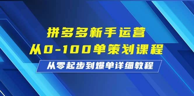 拼多多新手运营从0-100单策划课程，从零起步到爆单详细教程-文言网创