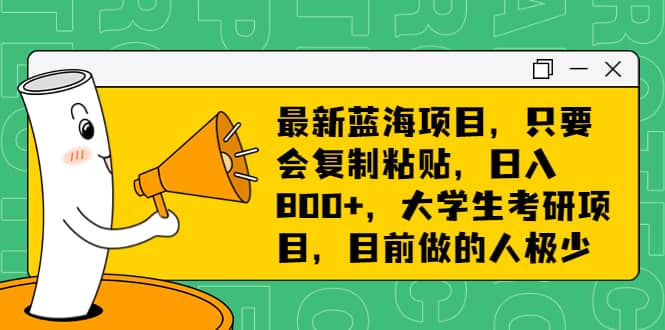 最新蓝海项目，只要会复制粘贴，日入800 ，大学生考研项目，目前做的人极少-文言网创