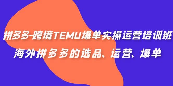 拼多多-跨境TEMU爆单实操运营培训班，海外拼多多的选品、运营、爆单-文言网创