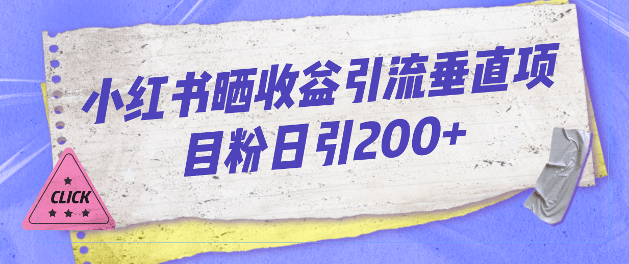 小红书晒收益图引流垂直项目粉日引200-文言网创