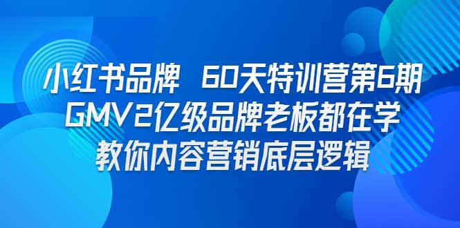 小红书品牌 60天特训营第6期 GMV2亿级品牌老板都在学 教你内容营销底层逻辑-文言网创