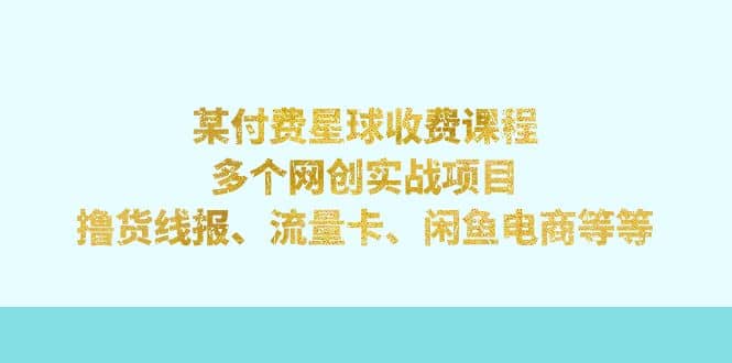 某付费星球课程：多个网创实战项目，撸货线报、流量卡、闲鱼电商等等-文言网创