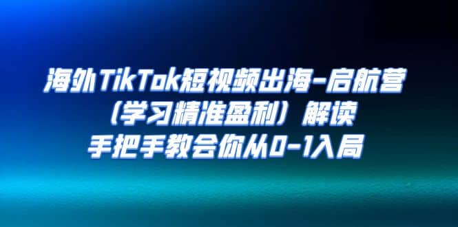 海外TikTok短视频出海-启航营（学习精准盈利）解读，手把手教会你从0-1入局-文言网创