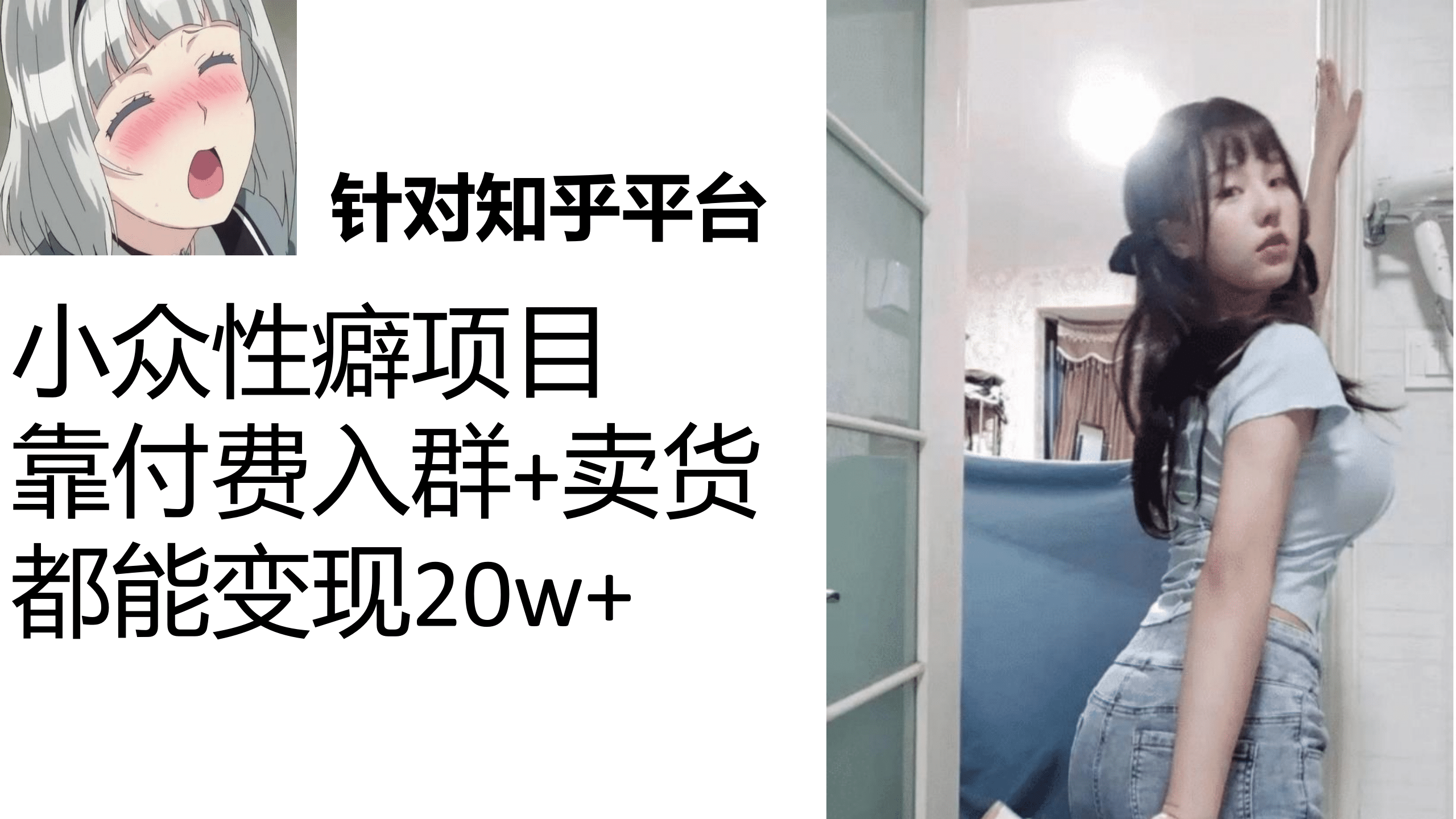 知乎小众性癖项目，Lsp的钱才是最好赚的，付费建群 卖货变现20w-文言网创