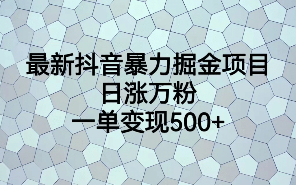 最火热的抖音暴力掘金项目，日涨万粉，多种变现方式，一单变现可达500-文言网创