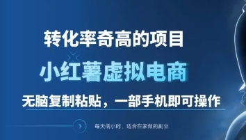 一单49.9，转化率奇高的项目，冷门暴利的小红书虚拟电商-文言网创