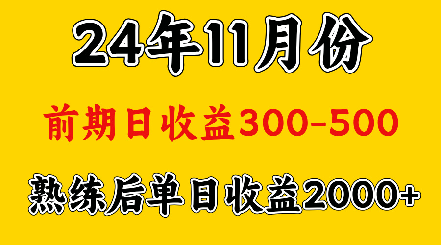 轻资产项目，前期日收益500左右，后期日收益1500-2000左右，多劳多得-文言网创