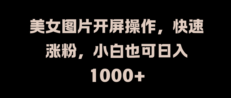 美女图片开屏操作，快速涨粉，小白也可日入1000+-文言网创