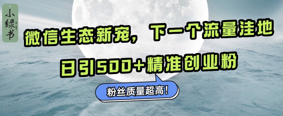 微信生态新宠小绿书：下一个流量洼地，粉丝质量超高，日引500+精准创业粉，-文言网创