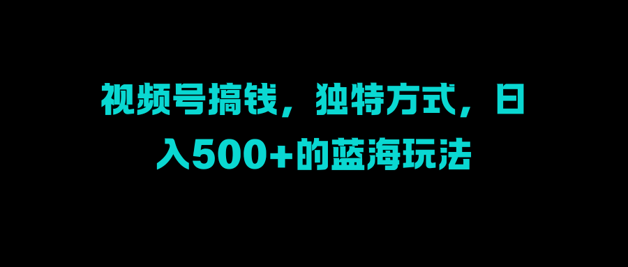 视频号搞钱，独特方式，日入500+的蓝海玩法-文言网创