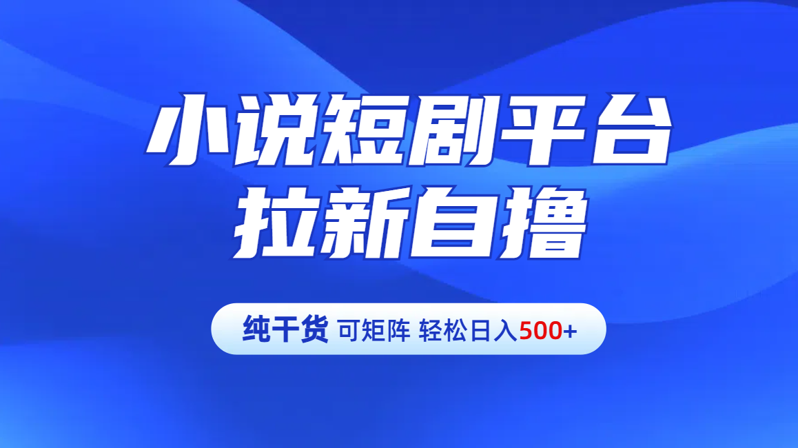 【纯干货】小说短剧平台拉新自撸玩法详解-单人轻松日入500+-文言网创