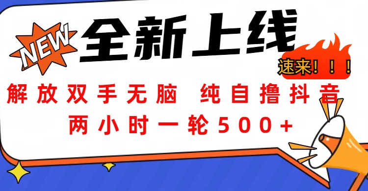 解放双手无脑 纯自撸抖音 两小时一轮500+-文言网创