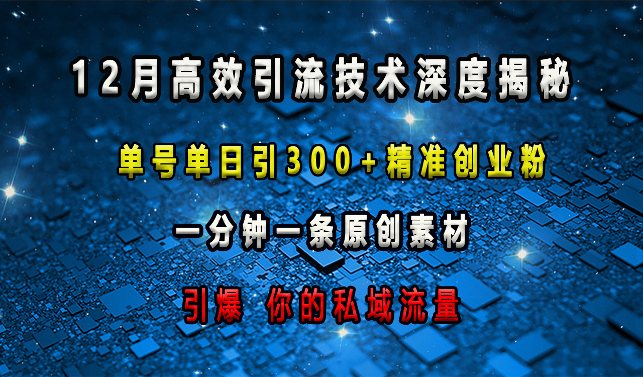 12月高效引流技术深度揭秘 ，单号单日引300+精准创业粉，一分钟一条原创素材，引爆你的私域流量-文言网创