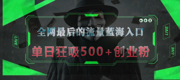 全网最后的流量蓝海入口，半小时引流50+创业粉，单日狂吸500+创业粉-文言网创