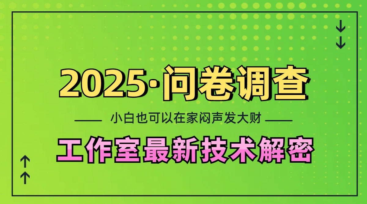 2025《问卷调查》最新工作室技术解密：一个人在家也可以闷声发大财，小白一天200+，可矩阵放大-文言网创