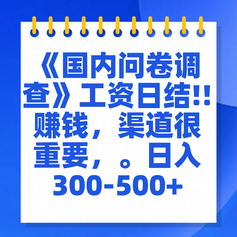 问卷调查答题，一个人在家也可以闷声发大财，小白一天2张，【揭秘】-文言网创