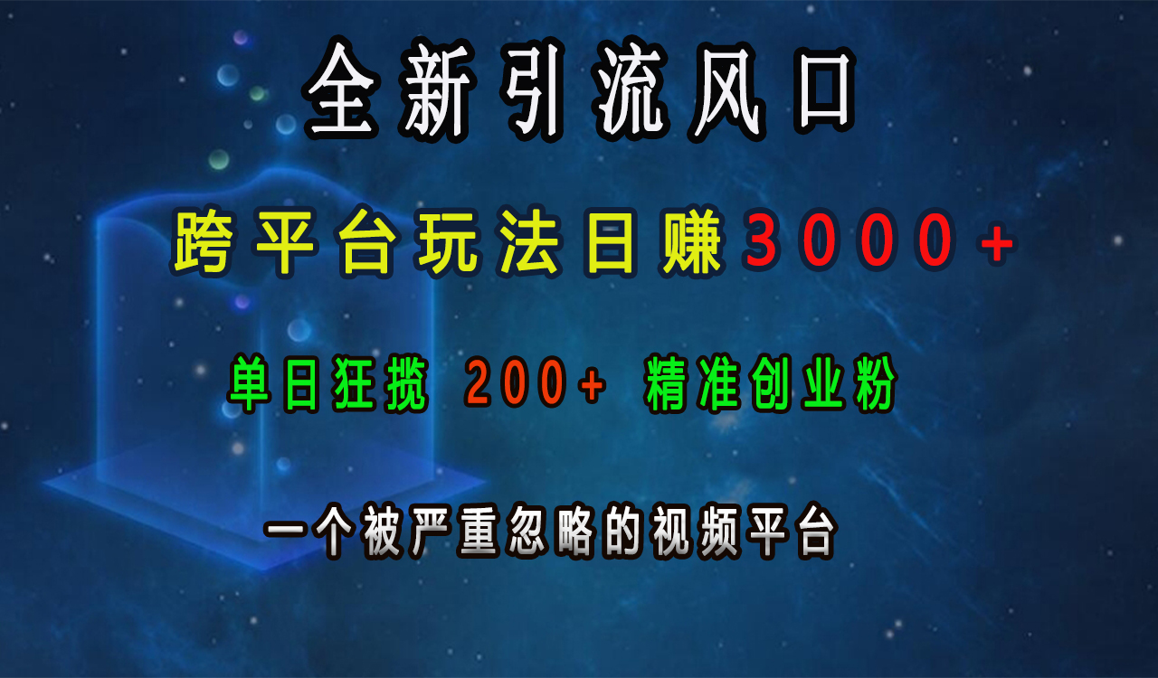 全新引流风口，跨平台玩法日赚3000+，单日狂揽200+精准创业粉，一个被严重忽略的视频平台-文言网创