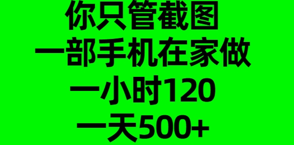 你只管截图，一部手机在家做，一小时120，一天500+-文言网创