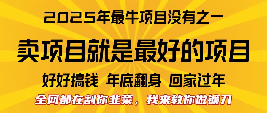 全网都在割你韭菜，我来教你做镰刀。卖项目就是最好的项目，2025年最牛互联网项目-文言网创