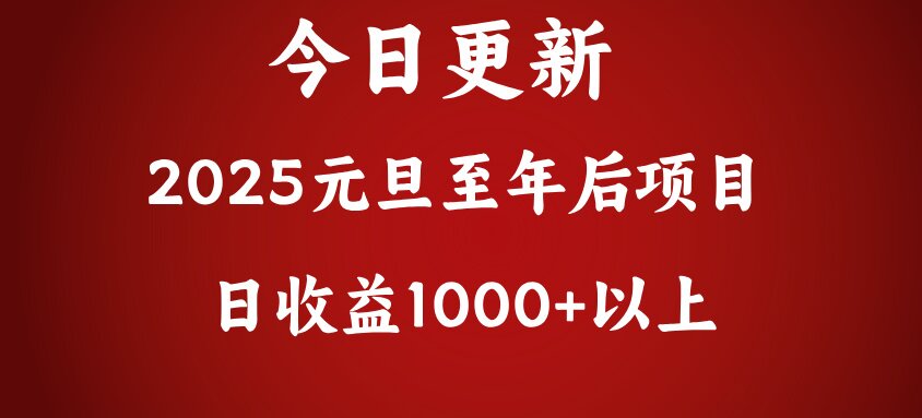 翻身项目，日收益1000+以上-文言网创