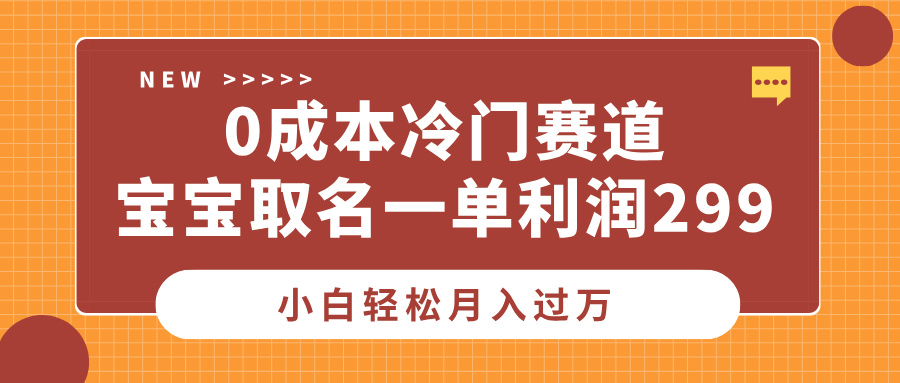 0成本冷门赛道，宝宝取名一单利润299，小白轻松月入过万-文言网创