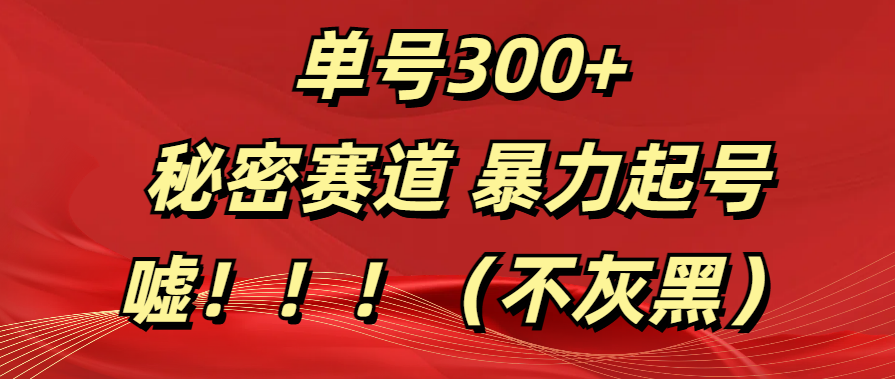 单号300+  秘密赛道 暴力起号  （不灰黑）-文言网创