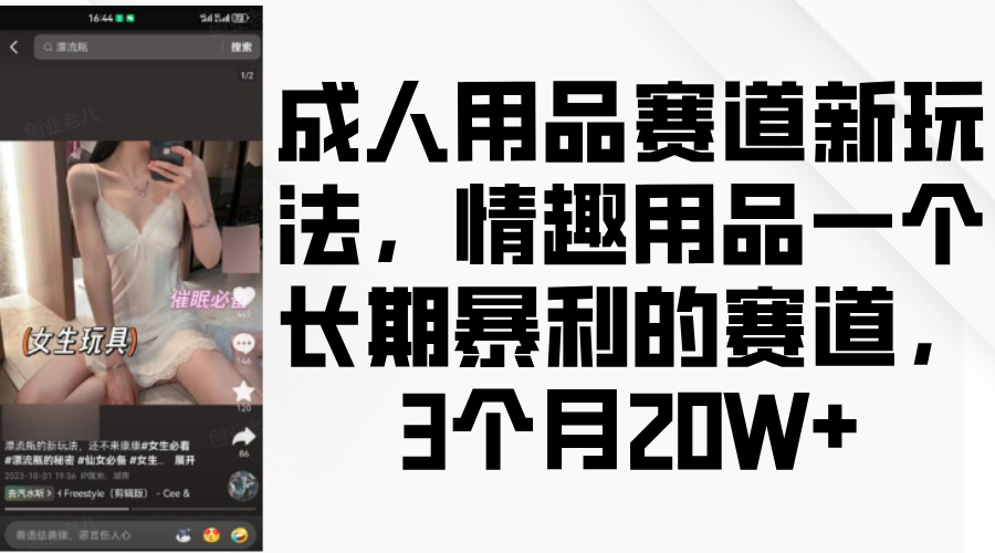 情趣用品一个长期暴利的赛道，成人用品赛道新玩法，3个月20W+-文言网创