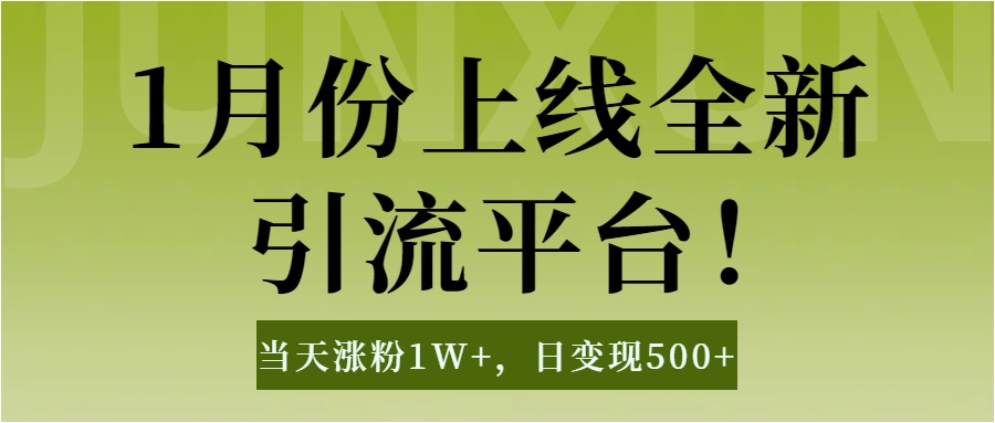 1月上线全新引流平台，当天涨粉1W+，日变现500+工具无脑涨粉，解放双手操作简单-文言网创