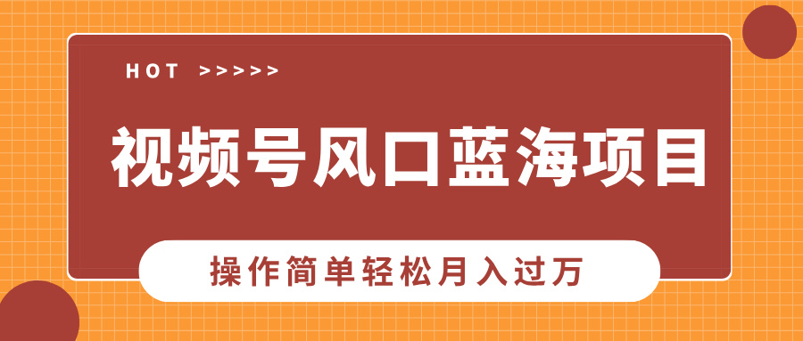 视频号风口蓝海项目，中老年人的流量密码，操作简单轻松月入过万-文言网创