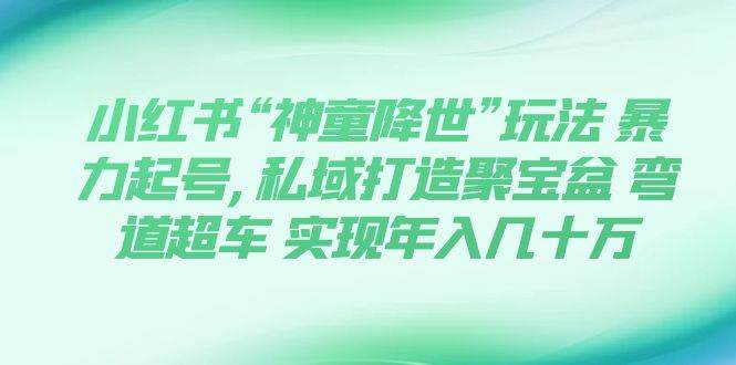 小红书“神童降世”玩法 暴力起号,私域打造聚宝盆 弯道超车 实现年入几十万-文言网创